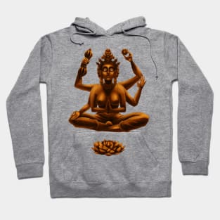 Ohm Hoodie